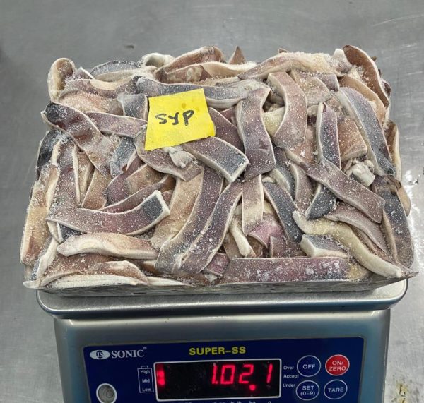 Sliced Squid