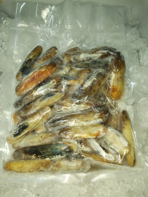 Kerang Pisau (Ensis) Whole