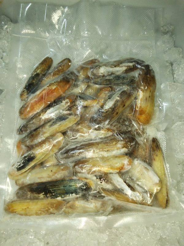Kerang Pisau (Ensis) Whole