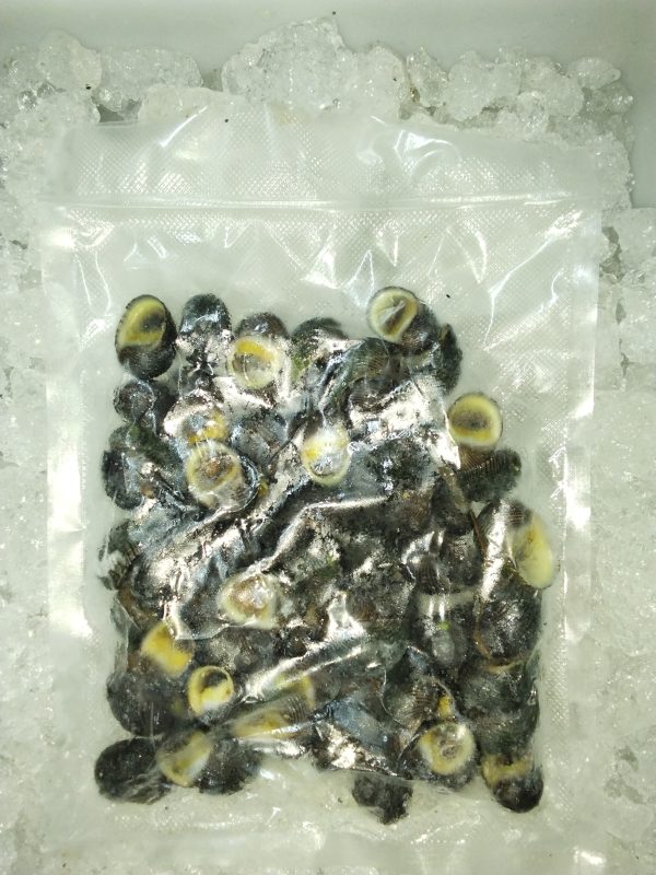 Nerit Hitam (Black Nerit) Whole
