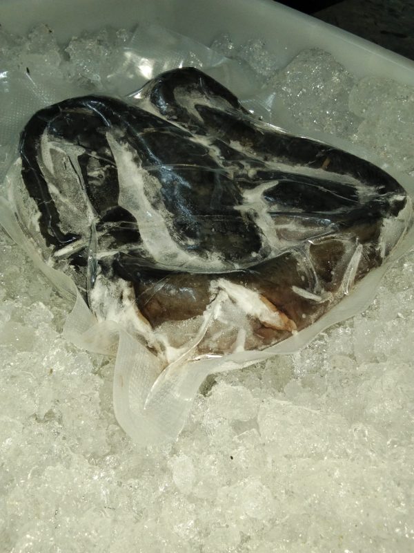 Lele (Catfish) Whole