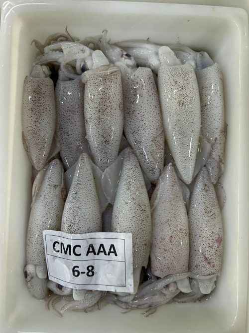 CUMI CANTIK